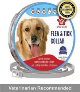 AF Dog Flea and Tick Control Collar