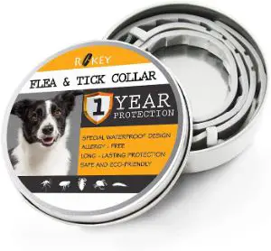 ROKEY Dog Flea and Tick Collar