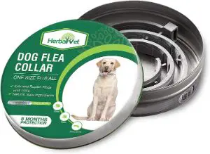 HerbalVet Dog Flea Collar