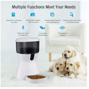 isYoung 4L Smart Pet Feeder